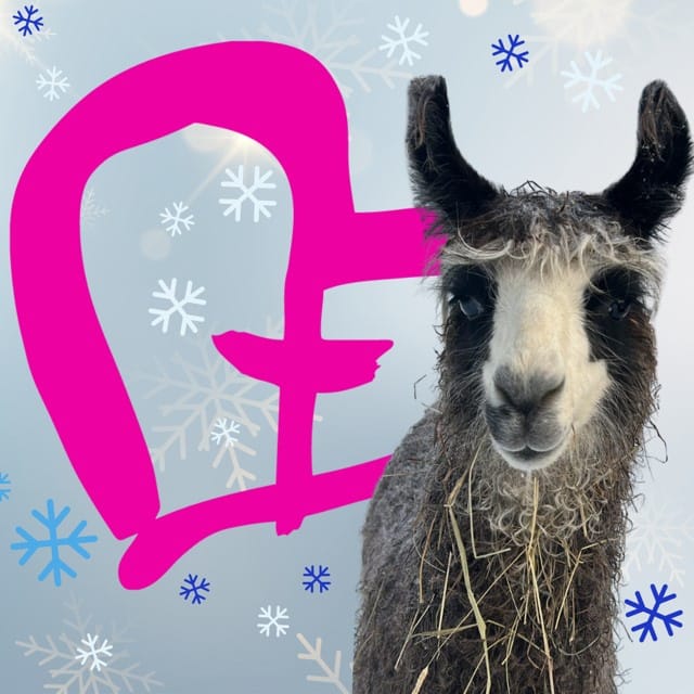 Koko perheen talvitapahtuma - Lue lisää